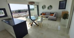 New Penthouse